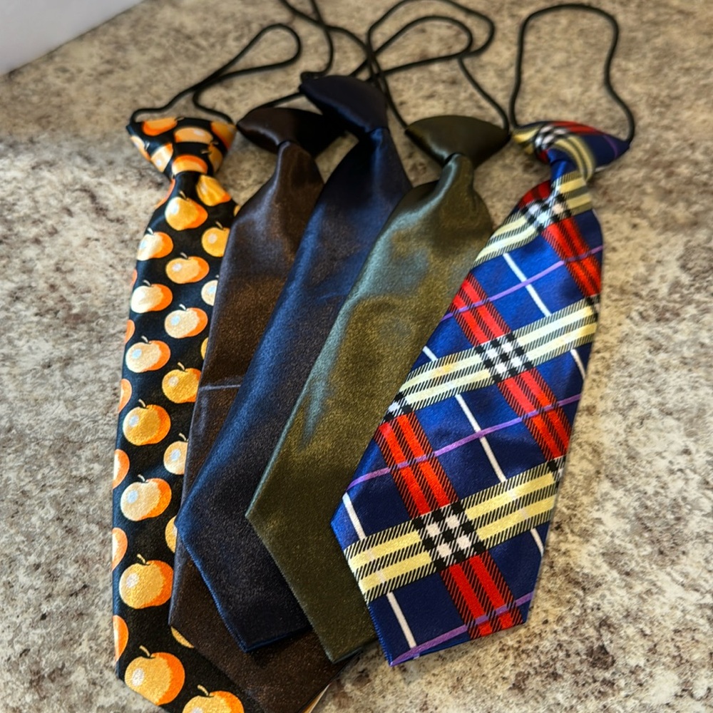 NWOT 10 inch unisex ties set of 5 Attached elastic cord goes under the collar.
